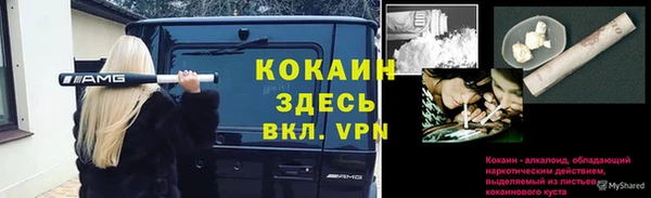 мяу мяу мука Козельск