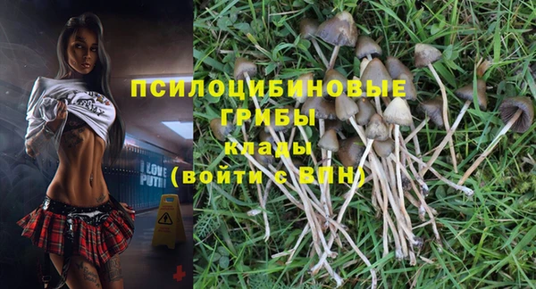 spice Козловка