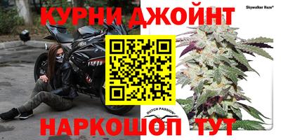 герыч Новодвинск