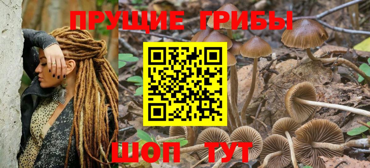 Тюмень  Галлюциногенные грибы Cubensis  Псилоцибиновые грибы Psilocybine cubensis  Вход с VPN 
